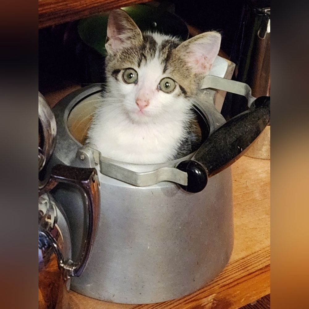 Bundle 2 or more items for 15% off!